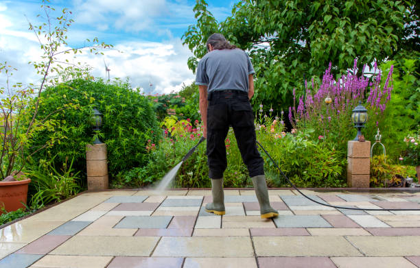 Best Animal Enclosure Cleaning  in Matheny, CA